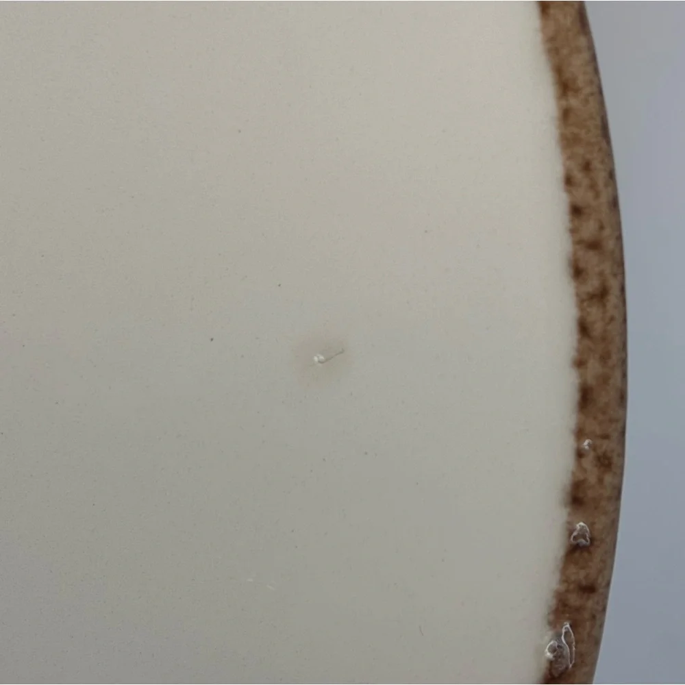 Ceramic Pig Plate Serving Plate Farmhouse Style Made in Portugal‎